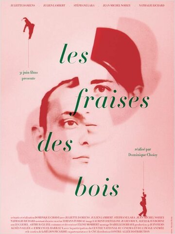 Les fraises des bois (2011)